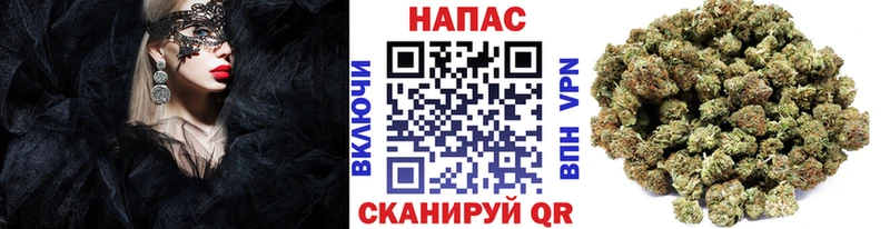 Купить  Северская  Бошки марихуана гибрид 